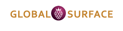 Global Surface Logo
